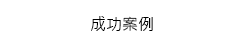 成功案例